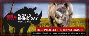 Happy rhinos celebrating word rhino day