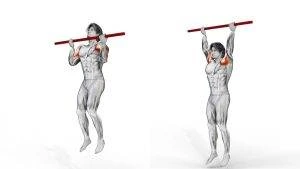 Image of how to do a weighted barbell chin up bicep curl exercises