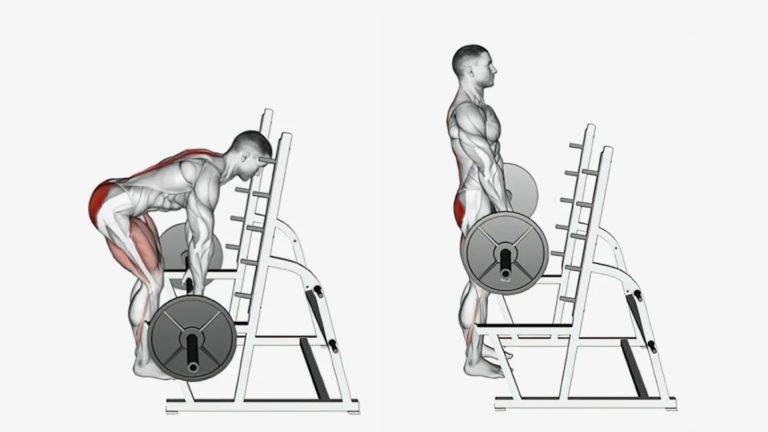 Image of how to perform a leg workouts with barbell rack pull