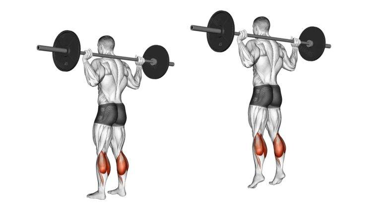 Image of how to perform a leg workouts with barbell standing calf raise